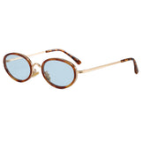 Gold Tortoise / Light Blue